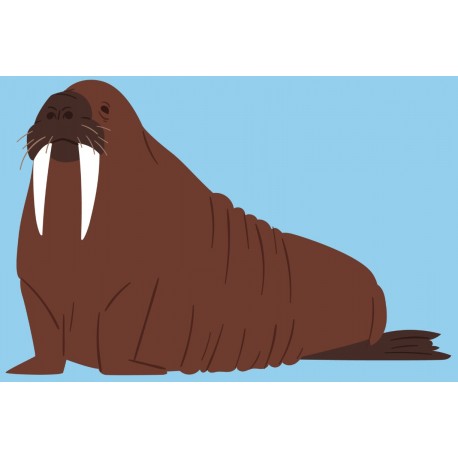 Sticker mural morse adulte