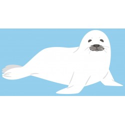 Sticker petit phoque tout blanc