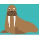Sticker morse aux dents longue
