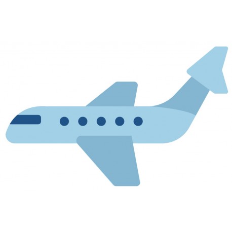 Sticker avion en vol