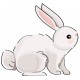 Sticker petit lapin