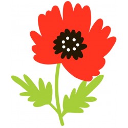 Sticker coquelicot deco enfant