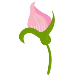 Sticker fleur deco