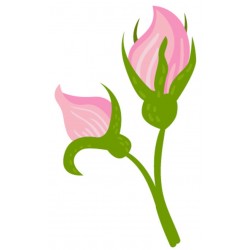 Sticker bouton rose deco