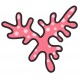 Sticker coquille saint jacques