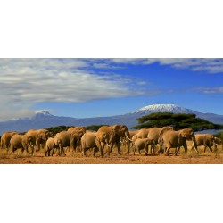 Sticker contenant deco