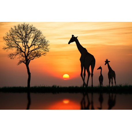 Sticker famille girafes