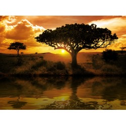 Sticker famille girafes coucher soleil