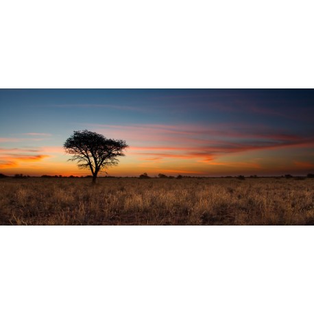 Sticker carte afrique drapeaux