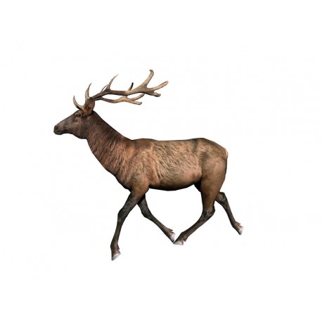 Sticker cerf en marche