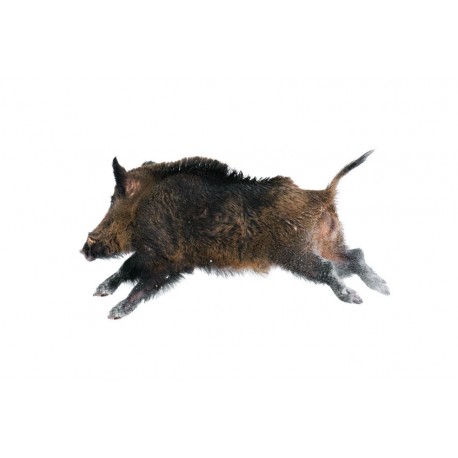 Sticker poule avec ses poussins