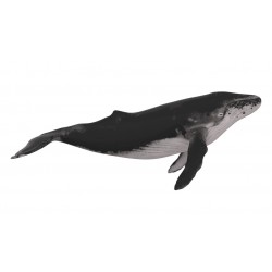 Sticker enorme baleine