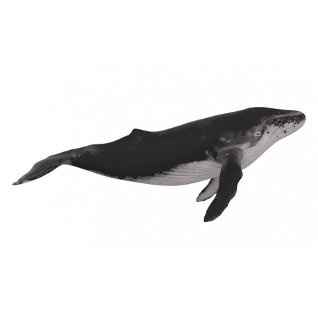 Sticker enorme baleine