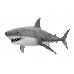 Sticker requin attaque