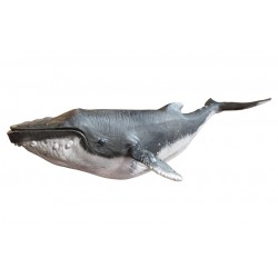 Sticker baleine agee