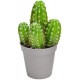 Sticker cactus en pot triple
