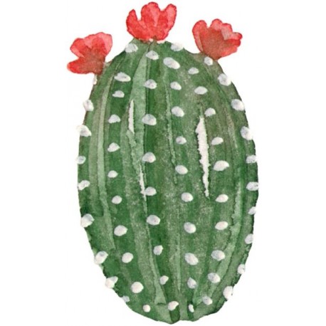 Autocollant cactus fleur rouge