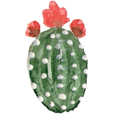 Sticker cactus fleur rouge