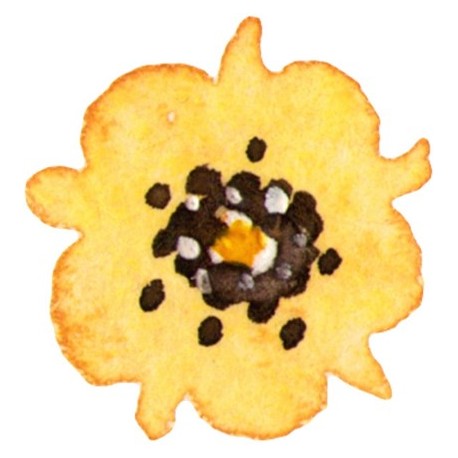 Sticker fleurs de cactus