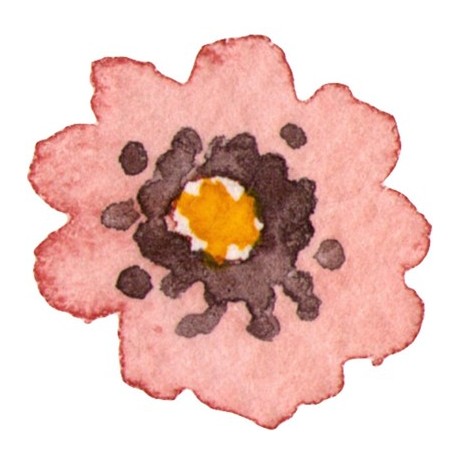 Sticker fleurs rose de cactus