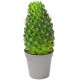 Sticker cactus gros