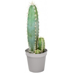 Sticker cactus 3 hauteurs