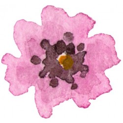 Sticker cactus fleur rose