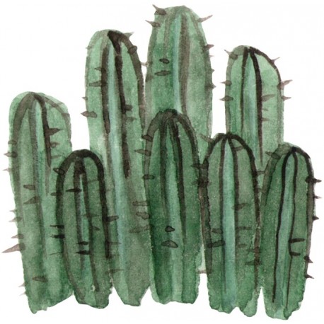 Sticker cactus en famille