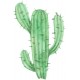 Sticker cactus dessin