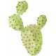 Autocollant cactus dessin