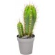 Sticker cactus gros et petit