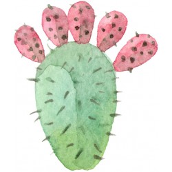 Sticker cactus en fleurs