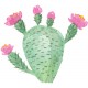 Sticker cactus bourgeons en fleurs