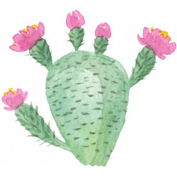 Sticker cactus bourgeons en fleurs