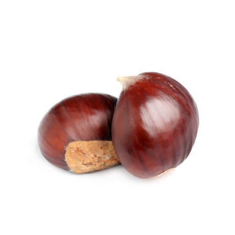 Sticker chateignes ouverte