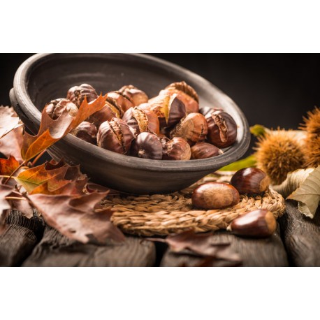 Sticker chateignes cuite