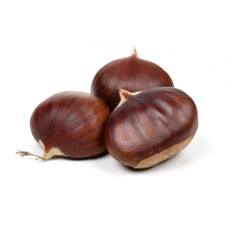 Sticker chateigne dans sac