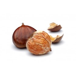 Sticker chateignes plan