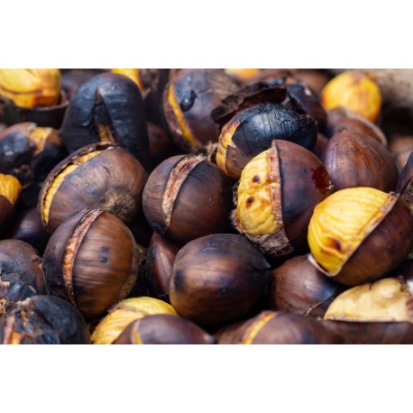 Stickers chateignes jolie plan