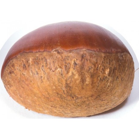 Stickers chateigne seule