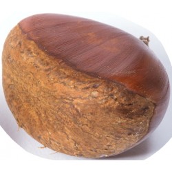 Stickers chateigne seule