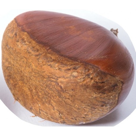 Stickers chateigne seule