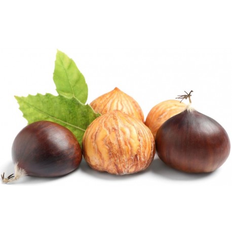 Stickers chateignes avec feuille