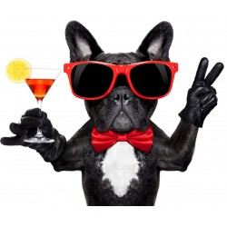 Stickers verre de cocktail orange