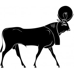 Stickers oiseau egypte