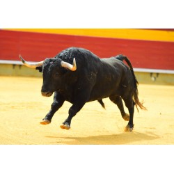 Sticker taureau Parc Guell