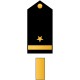 Sticker grade sergent