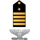 Autocollant grade militaire aigle