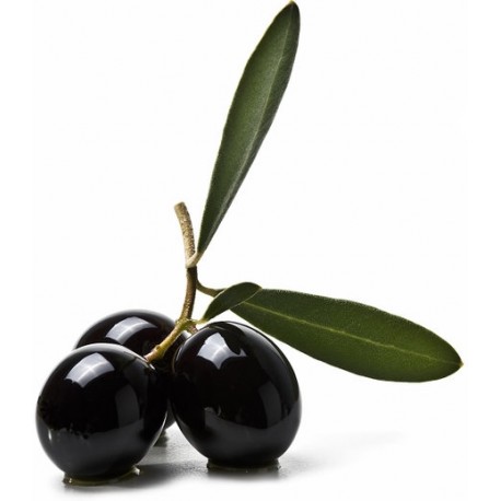 Sticker pot d'olives