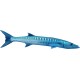 Sticker long poisson bleu